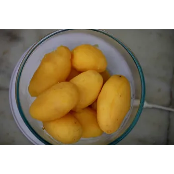 Potato (41)-5812581-93168.webp